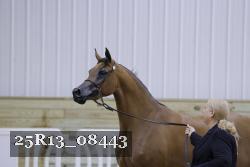25R13_08443 thumbnail