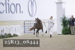 25R13_08444 thumbnail
