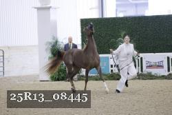 25R13_08445 thumbnail