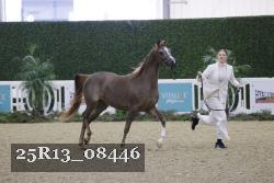 25R13_08446 thumbnail