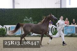 25R13_08447 thumbnail