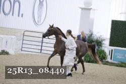 25R13_08449 thumbnail