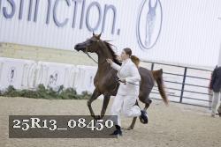 25R13_08450 thumbnail