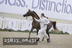 25R13_08451 thumbnail
