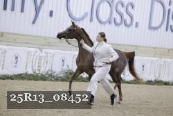 25R13_08452 thumbnail