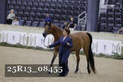 25R13_08455 thumbnail