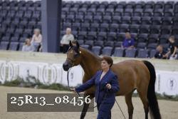 25R13_08456 thumbnail