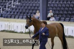 25R13_08457 thumbnail