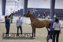 25R13_08458 thumbnail