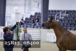 25R13_08460 thumbnail