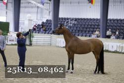 25R13_08462 thumbnail