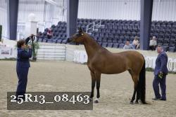 25R13_08463 thumbnail
