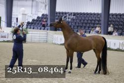 25R13_08464 thumbnail