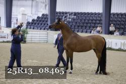 25R13_08465 thumbnail