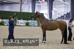 25R13_08467 thumbnail