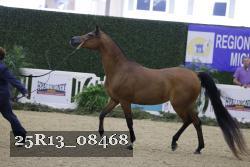 25R13_08468 thumbnail
