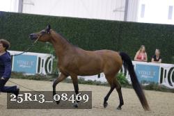 25R13_08469 thumbnail