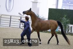 25R13_08470 thumbnail