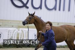 25R13_08471 thumbnail