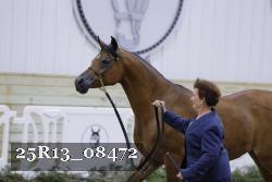 25R13_08472 thumbnail