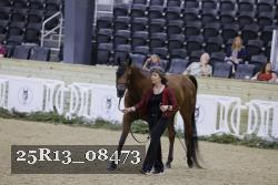 25R13_08473 thumbnail