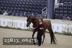 25R13_08475 thumbnail