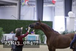 25R13_08477 thumbnail