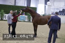 25R13_08478 thumbnail