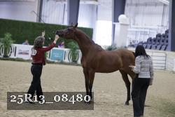 25R13_08480 thumbnail