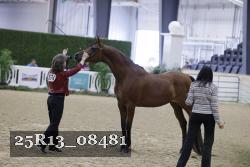 25R13_08481 thumbnail