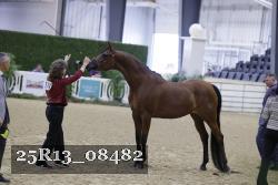25R13_08482 thumbnail