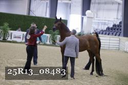 25R13_08483 thumbnail