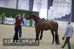 25R13_08484 thumbnail