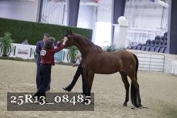 25R13_08485 thumbnail