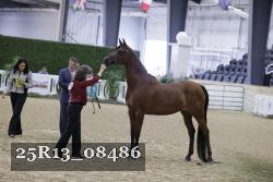 25R13_08486 thumbnail