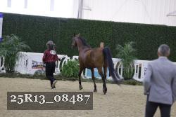 25R13_08487 thumbnail