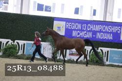 25R13_08488 thumbnail