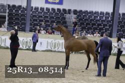 25R13_08514 thumbnail