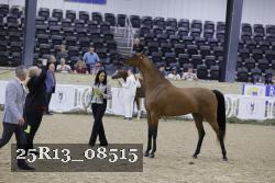 25R13_08515 thumbnail