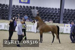 25R13_08516 thumbnail
