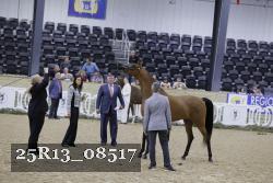 25R13_08517 thumbnail