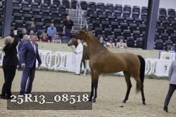 25R13_08518 thumbnail