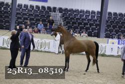 25R13_08519 thumbnail
