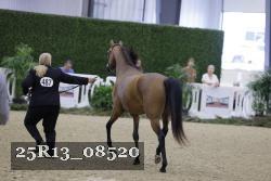 25R13_08520 thumbnail