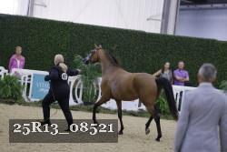 25R13_08521 thumbnail