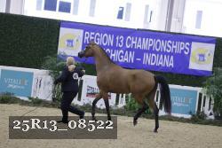 25R13_08522 thumbnail
