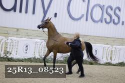 25R13_08523 thumbnail