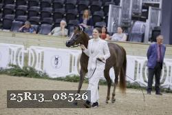 25R13_08526 thumbnail