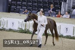 25R13_08527 thumbnail