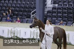 25R13_08528 thumbnail